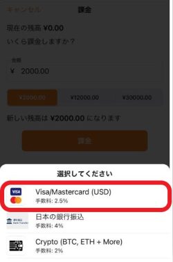 マッチベター クレジットカード　入金手順 Visa/Mastercardを選択
